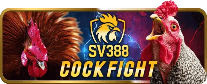 Đội ngũ chuyên nghiệp VP88
